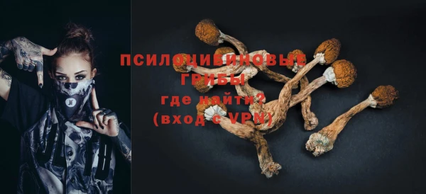 гашиш Осташков