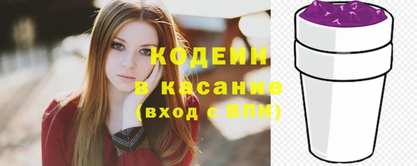 соль ск Пестово