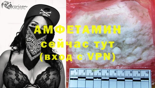 a pvp Пересвет