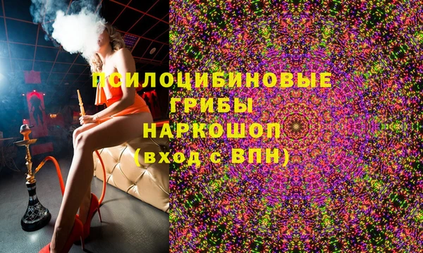 соль ск Пестово
