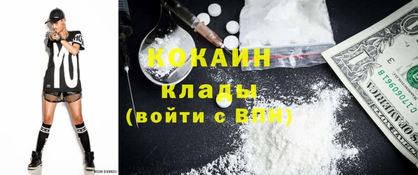 соль ск Пестово