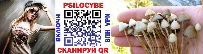 Галлюциногенные грибы Psilocybe  Ахтубинск 