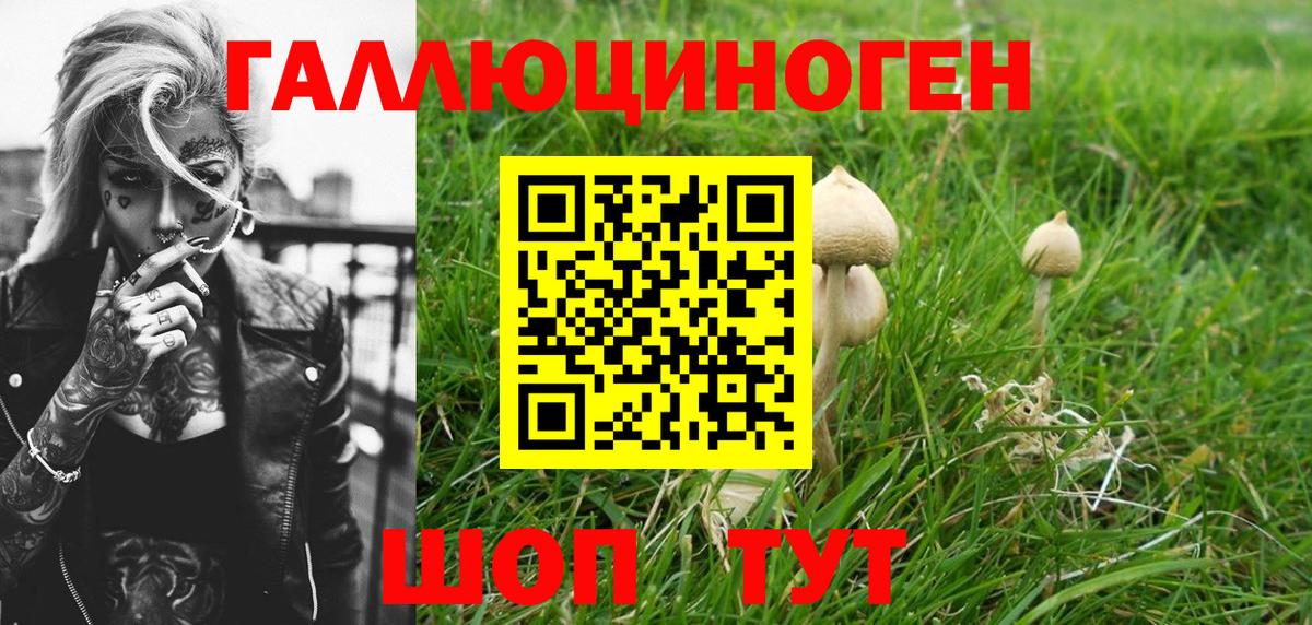 Галлюциногенные грибы мицелий Ахтубинск
