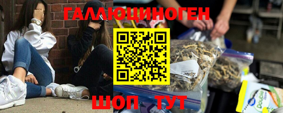 Галлюциногенные грибы Cubensis  Галлюциногенные грибы мицелий  Ахтубинск  Вход с VPN 